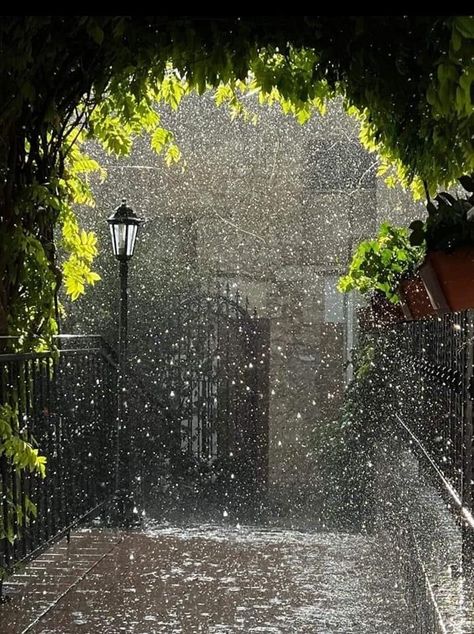 Rain Scenery, Women Eating, Rainy Mood, Rainy Sky, Rain Pictures, Rainy Day Aesthetic, I Love Rain, Night Rain, Rain Wallpapers