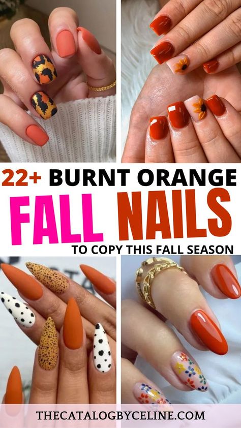 22+ Burnt Orange Nails Designs for Fall | Fall Nails Nails Designs For Fall, Burnt Orange Nails Designs, Fall Nails Orange, Burnt Orange Nails, Spice Nails, Nails Orange, Orange Nail Designs, Orange Nail Polish, Orange Nail