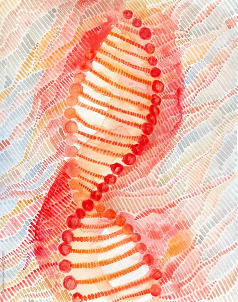 Bright red strokes of watercolor forming DNA molecule scheme on abstract background Dna Painting Art, Dna Aesthetic Biology, Dna Painting, Bio Molecules, Dna Watercolor, Dna Aesthetic, Dna Background, Cell Illustration, Dna Pattern