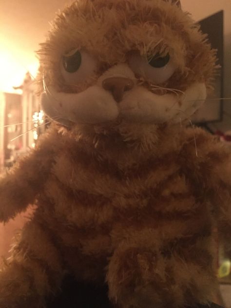 Ugly Garfield plush Scary Garfield, High Garfield, Goth Garfield, Cursed Garfield, White Cat Aesthetic, Garfield Pookie, Garfield Plushies, Garfield Nermal Pfp, Garfield Plush