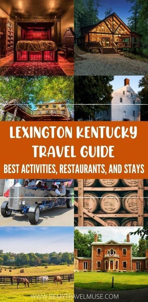 A complete guide to Lexington, Kentucky, with all of the best things to do, best restaurants and best accommodations. Plan a trip to Lexington with this compact guide! #Kentucky #Lexington Kentucky Attractions, Kentucky Vacation, Kentucky Horse Park, Kentucky Bourbon Trail, Kentucky Travel, Hiking Spots, Farm Tour, Lexington Kentucky, Plan A Trip