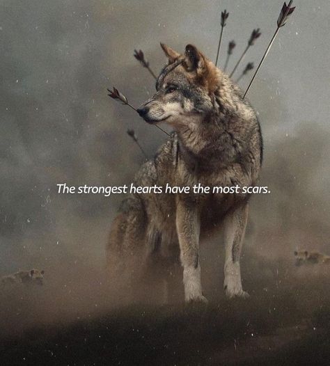 Lone Wolf Quotes, Animal Spirit Guides, Wolf Quotes, Wolf Spirit Animal, Self Inspirational Quotes, Magical Life, Beautiful Wolves, Wolf Spirit, Warrior Quotes