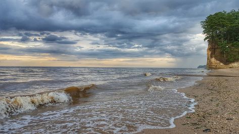 Enjoy the beach at Westmoreland State Park in Virginia Colonial Beach, Only In Your State, Fossil Hunting, Virginia State, Potomac River, Shenandoah National Park, Beautiful Park, Beach Living, Cool Countries