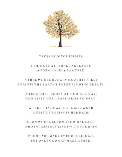 Trees poem by Joyce Kilmer Poem For Kindergarten, Trees Poem, Christmas Tree Poem, Kindergarten Poems, Joyce Kilmer, Tree Poem, Poetry Inspiration, Literature Quotes, A Poem