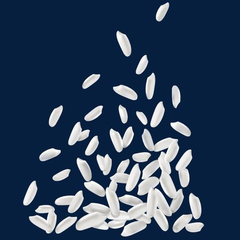 Rice Grain Drawing, Rice Drawing, Rice Png, Growing Rice, Ice Drawing, Rice Art, Rice Packaging, Drawing Poster, Camera Logo