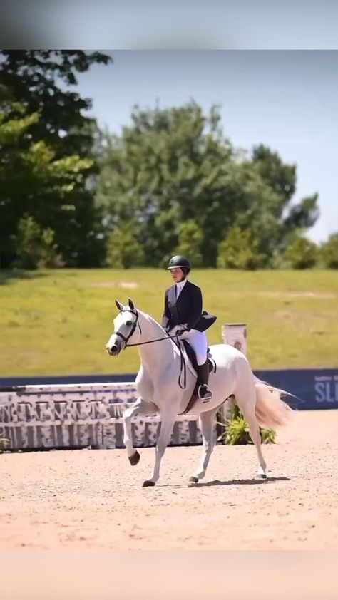 English Horse Show Aesthetic, Hunter Jumper Videos, Hunter Jumper Aesthetic, Horse Motivation, Horses Jumping Videos, English Horseback Riding, Hunter Jumping, Horses Videos, Horse Riding Videos