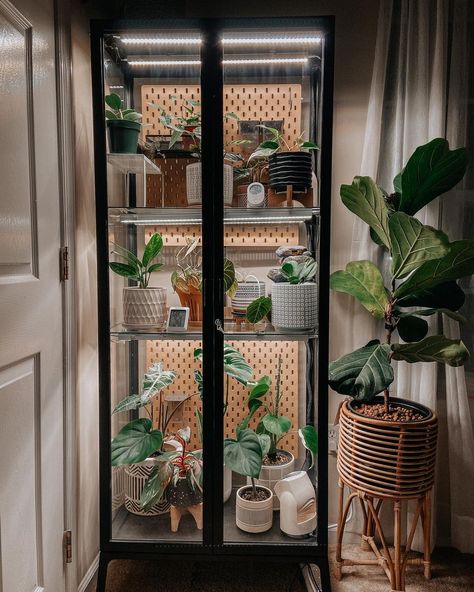 Plants Storage Ideas, Glass Cabinet For Plants, Milsbo Greenhouse Cabinet, Glass Plant Cabinet, Glass Cabinet Greenhouse, Milsbo Ikea, Cabinet Terrarium, Milsbo Greenhouse, Plant Conservatory