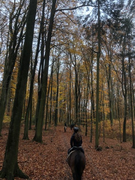 Fall Horseback Riding, Horse Riding In The Woods, Horse Riding Astethic, Fall Horse Riding, Equestrian Fall Aesthetic, Forest Horse Riding, Autumn Equestrian Aesthetic, Autumn Horse Aesthetic, Horse Riding Forest