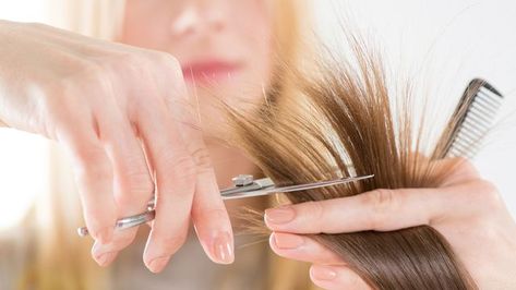 Guess what, it's time for a change, and we're going to begin with your hair. Take this quiz to find out which of these haircuts would look great on you! What Haircut Should I Get, Beauty Salon Marketing, Brunette Hair Cuts, Haircut Long Hair, Hair Questions, Teased Hair, Haircut Long, Hair Quiz, Red To Blonde