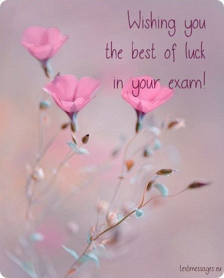 Exam Wishes For Girlfriend, Best Of Luck For Exams, All The Best Messages, Prayer Before Exam, Exam Messages, Exam Good Luck Quotes, Wishing Good Luck Quotes, Best Wishes For Exam, Exam Wishes Good Luck