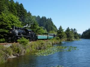 Oregon Coastal Railroad Excursion - Garibaldi, Ore (Not open till May - maybe this summer!) Rockaway Beach Oregon, Awesome Websites, Scenic Railroads, Rockaway Beach, Site Map, Oregon Washington, Train Ride, Steam Train, June 15