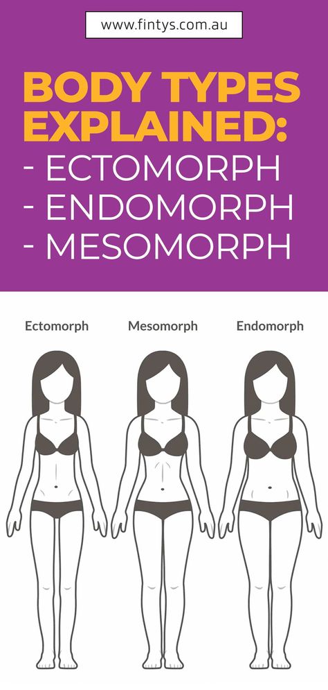 The three basic classifications of the human body according to body type and constitution- ectomorph, or the one who can hardly gain weight and muscles, endomorph, or the body type that “attracts” body fat and excess calories and lastly, the muscle, luckiest mesomorph. Read more details.. . . . #Fintys #Fitness #Athlete #WeightLoss #BodyTypesExplained #Mesomorph #HealthyLifestyle #HealthyLife #Endomorph #Ectomorph #Australia Endomorph Body Type Woman, Ectomorph Women, Endomorph Women, Mesomorph Women, Ectomorph Body, Mesomorph Body, Body Type Diet, Endomorph Body Type, V Shred