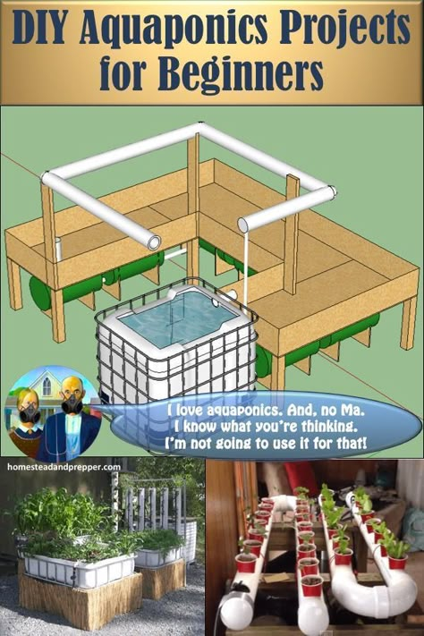 Aquaponics Greenhouse, Backyard Aquaponics, Aquaponics Fish, Aquaponics Diy, Hydroponic Farming, Aquaponic Gardening, Aquaponics System, Hydroponic Gardening, Growing Food