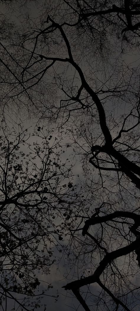 Dark Aesthetic Wallpaper Iphone Tumblr, Dark Aesthetic Nature Wallpaper Iphone, Black Theme Iphone Wallpaper, Gothic Moon Wallpaper, Ipad Wallpaper Galaxy, Plain Dark Wallpaper, Dark Ios Wallpaper, Dark Forest Wallpaper Iphone, Creepy Wallpaper Iphone