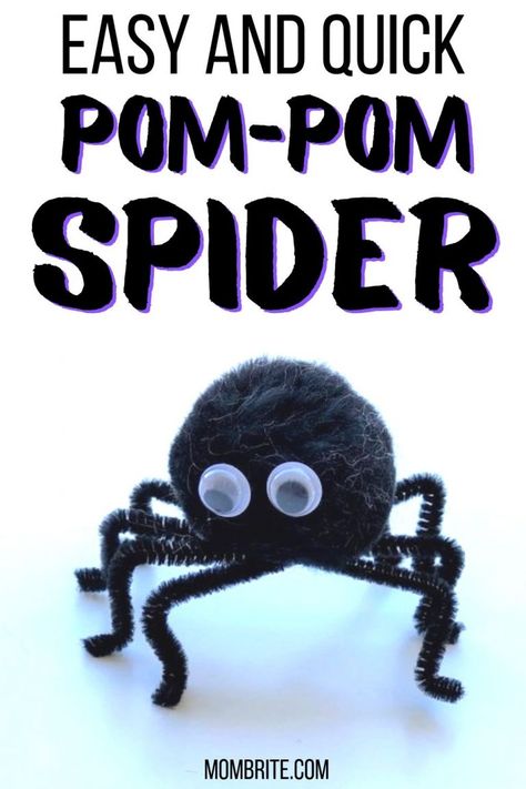 Spider Facts For Kids, Pom Pom Spider, Homemade Halloween Decor, Spiders For Kids, Pom Pom Spiders, Incy Wincy Spider, Craft Pipe Cleaner, Spider Crafts, Crafts For Teens To Make