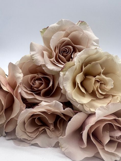 Quicksand Rose Arrangement, Champagne Color Flowers, Champagne Colored Flowers, Cream Color Flowers, Cream Colored Flowers, Champagne Floral Arrangements, Nude Wedding Decor, Wrap Flowers In Paper, Double Door Decor