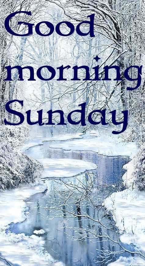 Good Morning Sunday Winter, Winter Good Morning, Good Morning Winter Images, Winter Sunday, Christmas Sunday, Good Morning Winter, Morning Winter, Sunday Greetings, Week Quotes