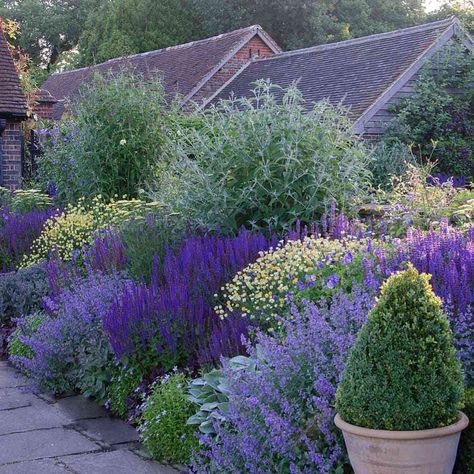 Modern Perennial Garden, Xeriscaping Backyard Colorado, Xeriscape Hillside, Colorado Drought Tolerant Landscape, Xeriscape Landscaping Colorado Native Plants, Xeriscape Midwest, Colorado Natural Landscaping Ideas, Midwest Landscape Ideas Front Yard, Northern California Landscaping