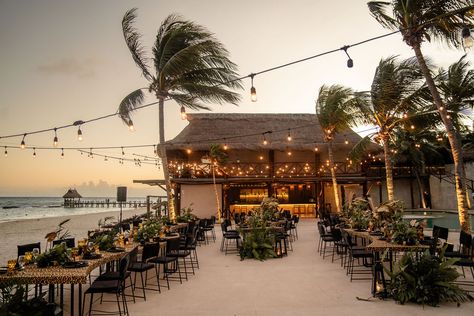 A non-traditional beach wedding in Mexico filled with surprises and glamorous touches. Jungle Disco Wedding, Jungle Disco, Backyard Envy, Pride Weekend, Jungle Wedding, Disco Wedding, Wedding In Mexico, Music Photographer, Quintana Roo