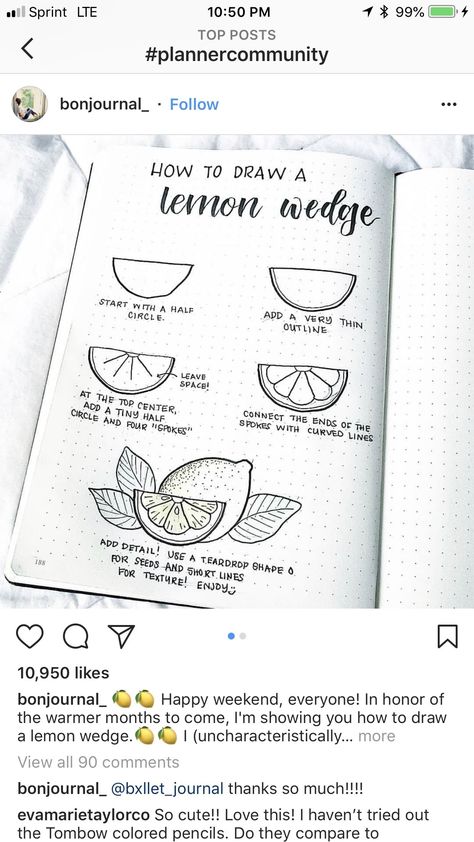 🍋Lemon wedge🍋 Pencil Drawings For Beginners, Flower Drawing Tutorials, Drawing Journal, Flower Art Drawing, Doodle Art Drawing, Creative Drawing Prompts, Free Script Fonts, Lemon Wedge, Plant Drawing