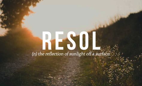 23 Perfect Spanish Words We Need In English Beautiful Spanish Words, Languages To Learn, Living In America, Nature Words, Unique Words Definitions, Words That Describe Feelings, Uncommon Words, One Word Quotes, Weird Words