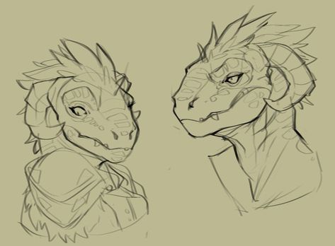 Dragonborn Oc, Scalie Art, Anatomy Help, Dnd Reference, Character Help, Drawing Dragons, Lizard People, Dnd Dragonborn, Dragon Anatomy