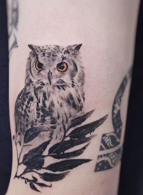 Owl Dreamcatcher Tattoo, Simple Owl Tattoo, Owl Tattoo Drawings, Simple Owl, Cute Owl Tattoo, Skull Sketch, Owl Tattoo Design, Tatuaje A Color, Beautiful Owl