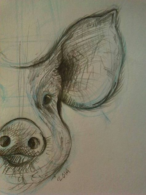 pig sketch Scary Pig Drawing, Farm Animals Sketch, Pig Nose Drawing, How To Draw A Pig Face, Pig Sketch Easy, Pig Drawing Realistic, Farm Animal Sketches, Pig Art Drawing, Pig Sketches