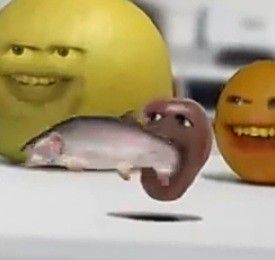 Annoying Orange Fanart, Annoying Orange Pfp, Orange Things, Annoying Orange, Weird Images, Goofy Pictures, Silly Images, Silly Pictures, Gorillaz