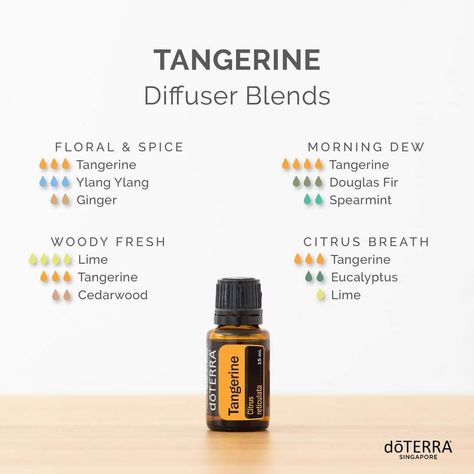 Tangerine Diffuser Blends, Essential Oil Candle Recipes, Candle Recipes, Doterra Blends, Doterra Diffuser, Citrus Candle, Doterra Diffuser Blends, Tangerine Essential Oil, Oil Candle