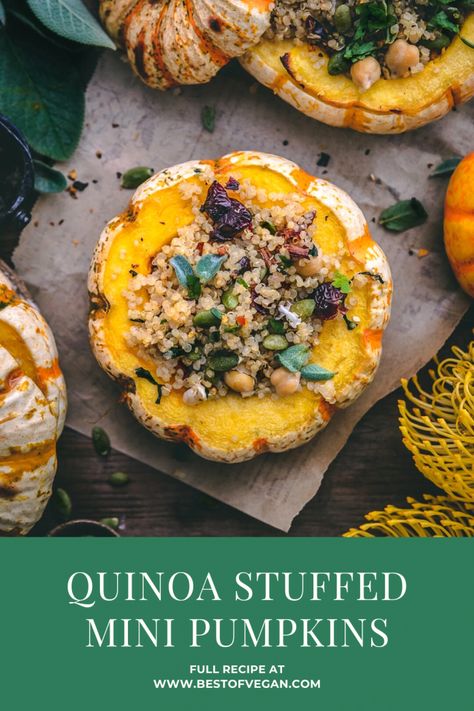 These quinoa stuffed mini pumpkins are a perfectly wholesome fall appetizer or side, and they are certainly too adorable to not be shared with loved ones this fall! Get the full recipe here. #bestofvegan#veganpumpkinrecipe#veganstuffedpumpkin#ministuffedpumpkin#veganfallrecipe Pumpkin Recipes Vegetarian, Stuffed Mini Pumpkins, Fall Appetizer, Meal Prep Easy, Pumpkin Quinoa, Fall Meal, Vegan Pumpkin Recipes, Pumpkin Dishes, Fall Appetizers