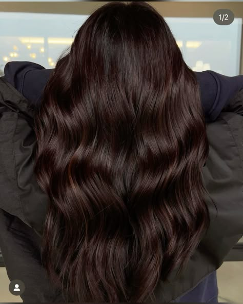 Rich Brown Hair With Red Undertones, Dark Brunette Hair With Red Undertones, Obsidian Brunette, Dark Chocolate Red Hair Color, Coffee Bean Brown Hair, Dark Brown Hair With Cherry Undertones, Cherry Black Hair Color Dark Brown, Red Tinted Dark Brown Hair, Mahagoni Hair Color Brown