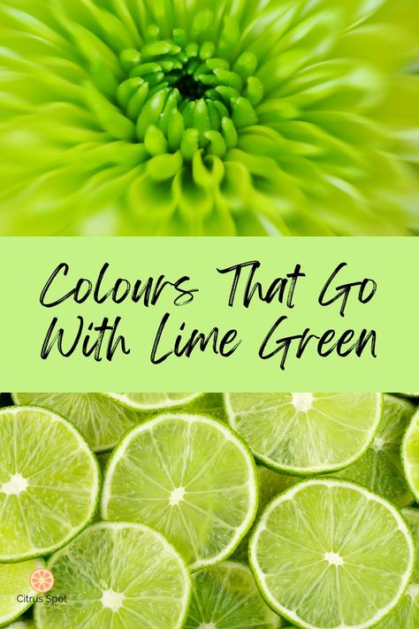 Fresh limes slices and lime green flower with text "Colours that go with lime green" Lime Green Paint Color, Lime Green Bathrooms, Green Shoes Outfit, Lime Green Decor, Lime Green Outfits, Lime Green Bedrooms, Beautiful Colour Combinations, Neon Green Outfits, Lime Green Pants