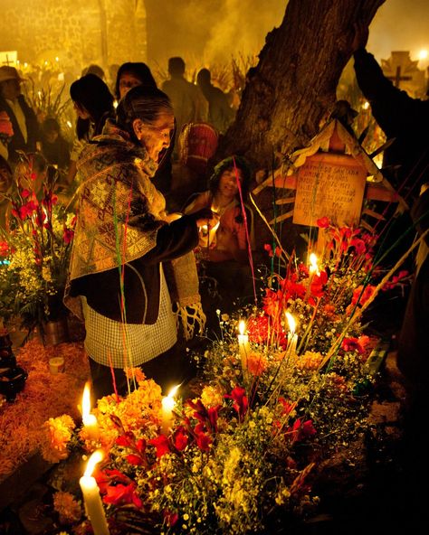 Marigolds & the Mexican Day of the Dead - Wonderground English Day, Mexican Day Of The Dead, All Souls Day, Beautiful Story, All Souls, México City, Mexican Culture, Beautiful Stories, Gay Art