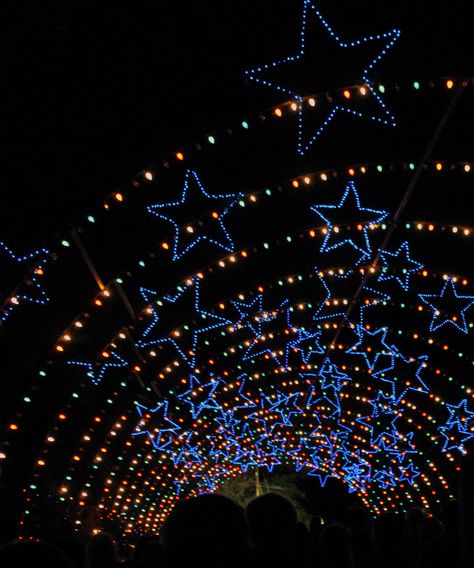 Trail of Lights Trail Of Lights, Ski Trails, Light Trails, Silly Goose, Fairy Light, Collage, Lighting, Photographer, Christmas