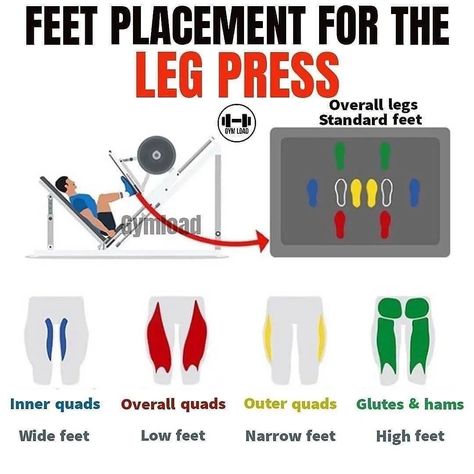 GYM | FITNESS | WORKOUT on Instagram: “👣 FEET PLACEMENT FOR THE LEG PRESS 👣⁣ ⁣ 📥 Be sure to SAVE this for your next LEG DAY!⁣ ⁣ ⁣ ⁣ 🔹 The leg press is an excellent piece of…” Leg Press Workout, Free Workout Plans, Leg Press Machine, Whole Body Workouts, Leg Training, Workout Chart, Workout Plan Gym, Leg Press, Press Machine