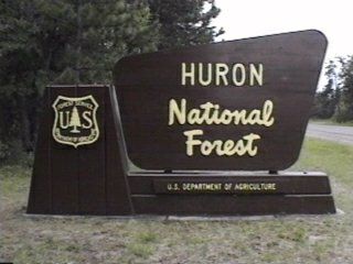 Forest Living, Manistee National Forest, Michigan Camping, North Country Trail, River Float, Michigan Vacations, City Island, Camping Destinations, Parker House