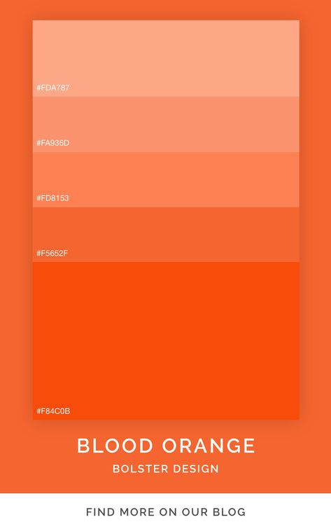 Blood orange color palette inspiration that can be used in graphic design, UX UI projects and websites. #design #colorpalette #palette Orange Monochrome Color Palette, Serious Color Palette, Orange Brand Color Palette, Blood Orange Color Palette, Orange Branding Design, Orange Packaging Design, Orange Website Design, Website Design Orange, Graphic Design Orange