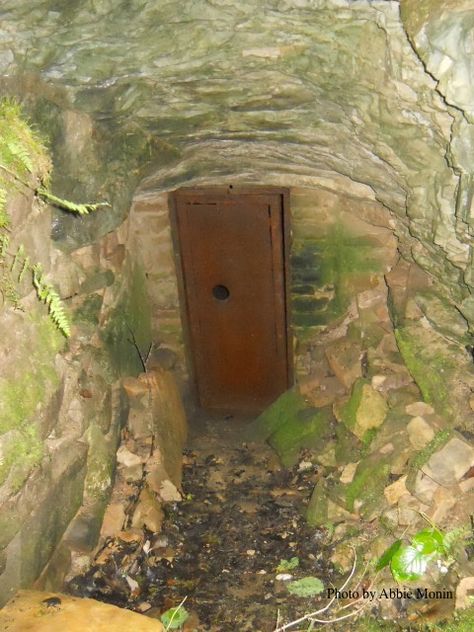 The main entrance to Floyd Collins Crystal Cave, which is now closed off to the public. It has a steel door secure with a lock. There is a hole in the door which you can feel the cold air through. Pretty cool! ~Floyd Collins~ ~Mammoth Cave KY~ ~Floyd Collins Crystal Cave~  ~abandoned~ Fake Cave Entrance, Secret Cave Entrance, Portal Aesthetic, Floyd Collins, Hidden Tunnel, Cave Entrance, Mammoth Cave, Gates Of Hell, Crystal Cave