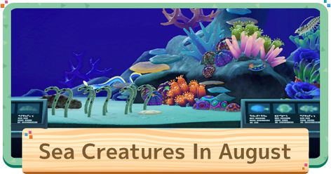 Check out this guide on the sea creatures coming in August in Animal Crossing: New Horizons Switch (ACNH). Use it to find out when and where sea creatures appear in August! Sea Pig, Giant Isopod, Vampire Squid, Sweet Shrimp, Fish List, Whitetail Bucks, Deep Sea Creatures, Beluga Whale, Fireworks Show