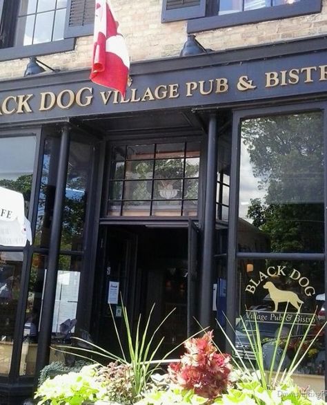 Read my restaurant review of Black Dog Pub and Bistro located in Bayfield, Ontario.  On Lake Huron, this village pub is always lively.  @Downshiftingpro Bayfield Ontario, Dog Cafe, Small Town Life, Lake Huron, Great Restaurants, Best Beer, Black Dog, Restaurant Review, Ontario Canada