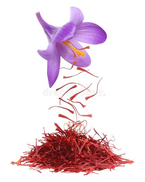 Dried saffron spice. Isolated on white background stock photos Risotto Soup, Lamb Saag, Spanish Saffron, Crocus Sativus, Saffron Crocus, Persian Rice, Saffron Spice, Saffron Flower, Saffron Threads