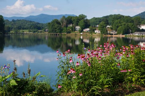 Summer Getaways at Lake Junaluska - Lake Junaluska Conference & Retreat Center Lake Junaluska North Carolina, Chautauqua Lake New York, Sacandaga Lake New York, The Lake House Canandaigua, Eklutna Lake Alaska, Lakeside Hotel, Lake Junaluska, Carolina Dog, Canoe Trip