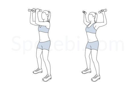 The standing chest fly targets the chest and shoulder muscles. Chest exercises help build muscle strength and power and can also give the breasts somewhat of a lift, making them appear perkier. http://www.spotebi.com/exercise-guide/standing-chest-fly/ Standing Chest Fly, Spotebi Workout, Fly Exercise, Shoulder Press Workout, Thursday Workout, Push Workout, Easy Exercise, Back Yoga, Chest Fly