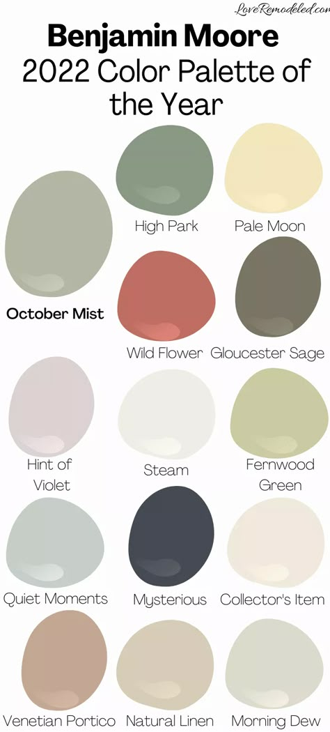 October Mist, 2022 Color Of The Year, Bangunan Minecraft, House Color Palettes, Paint Color Schemes, Benjamin Moore Colors, House Color Schemes, House Color, Killarney