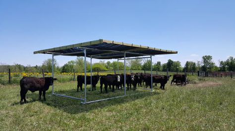 Portable Shade Structure Horse Hay Feeders, Pasture Shelter, Horse Shelters, Hay Feeder For Horses, Livestock Shelter, Horse Hay, Portable Shade, Cattle Barn, Cow Pasture