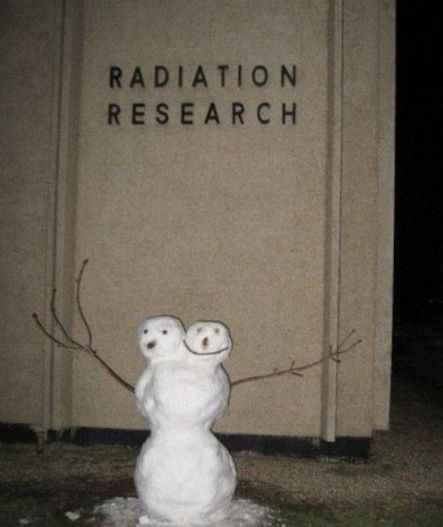 ~Do you want to build a snowman?~ | 37 Photos That'll Make You Say "I See What You Did There" Snowmen Pictures, Nuclear Winter, Funny Snowman, Build A Snowman, 웃긴 사진, Calvin And Hobbes, Bones Funny, Fallout, Funny Pictures