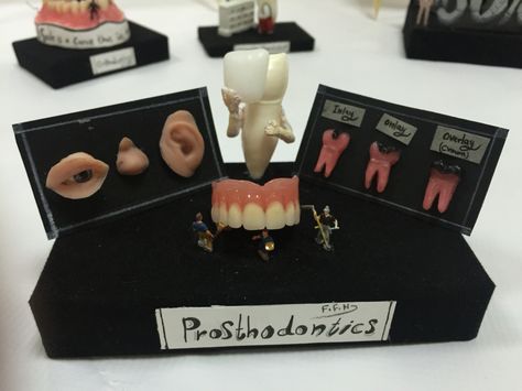 Prosthodontics Dentistry Art, Prosthodontics Art, Prosthodontics Dentistry, Dentistry Art, Teeth Art, Dental Facts, Dental Art, Indian Fashion Designers, Dental Health