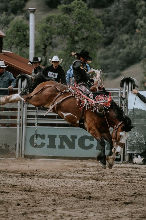 Bronc Riding Photography, Nfr Barrel Racing Aesthetic, Bronc Riding Wallpaper, Bronc Riding Aesthetic, Rodeo Life Aesthetic, Bull Riding Aesthetic, Rodeo Wallpapers, Rodeo Wallpaper, Rodeo Tattoo