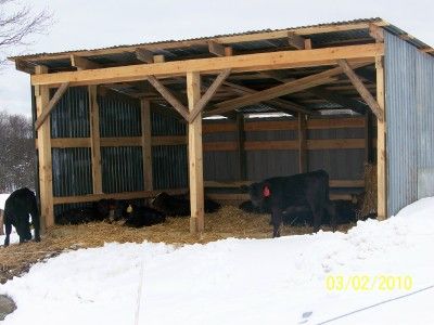 SNAPSHOTS Cattle Shed Ideas, Highland Cow Shelter, Cow Shed Design Plan, Cattle Shelter, Cattle Shed, Cow Shed Design, Barn Garage Plans, Shed Design Plans, Cow Barn